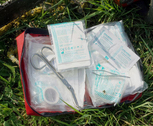 Basic Nature Plus First Aid Kit