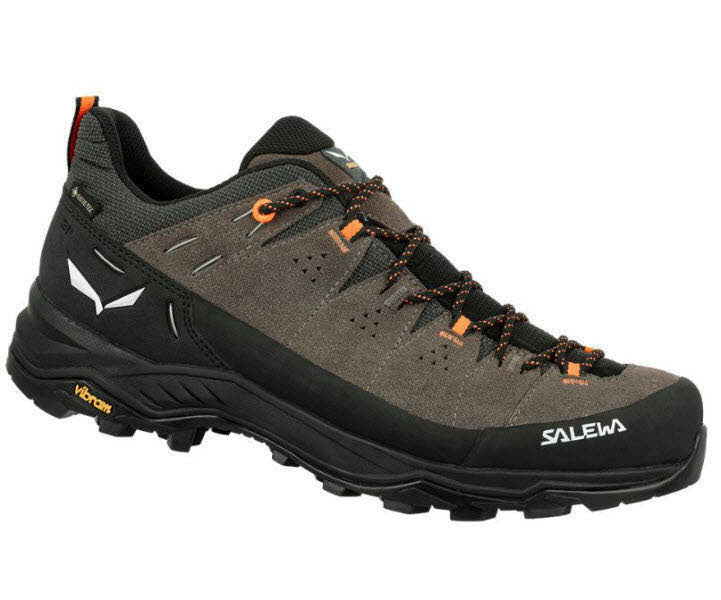 Salewa ALP TRAINER 2 GTX M