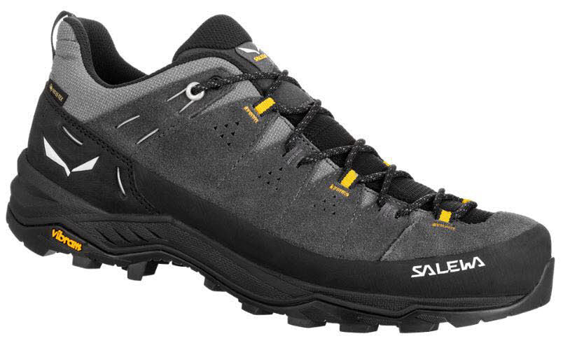 Salewa ALP TRAINER 2 GTX M