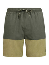 Protest PRTCabus beach shorts