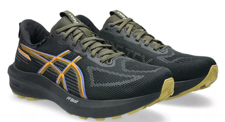 Asics GT-1000 14 GTX