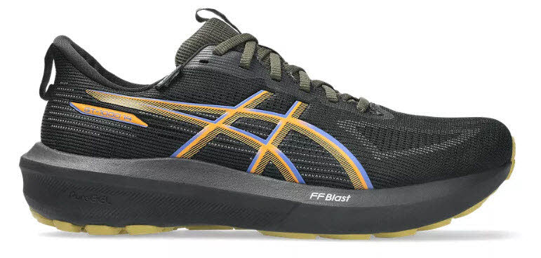Asics GT-1000 14 GTX