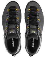 Salewa ALP TRAINER 2 GTX M