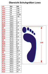 Lowa RENEGADE GTX MID WS