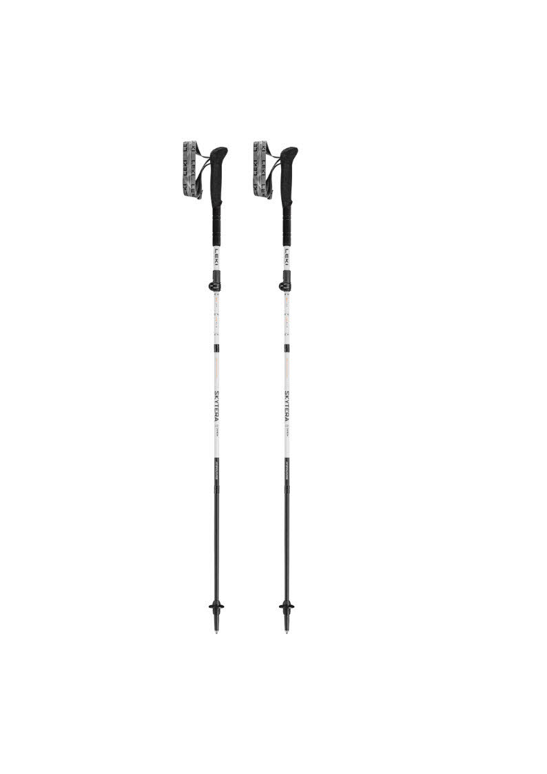Leki Skyterra FX Carbon SL