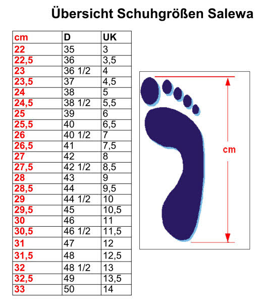 Salewa ALP TRAINER 2 MID GTX M