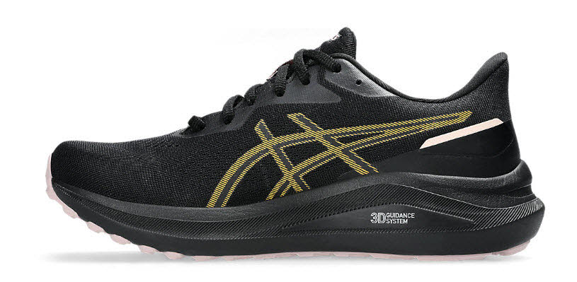 Asics GT-1000 13 GTX W