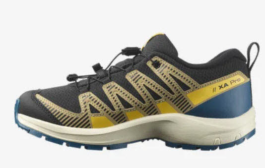 Salomon XA PRO V8 WP J