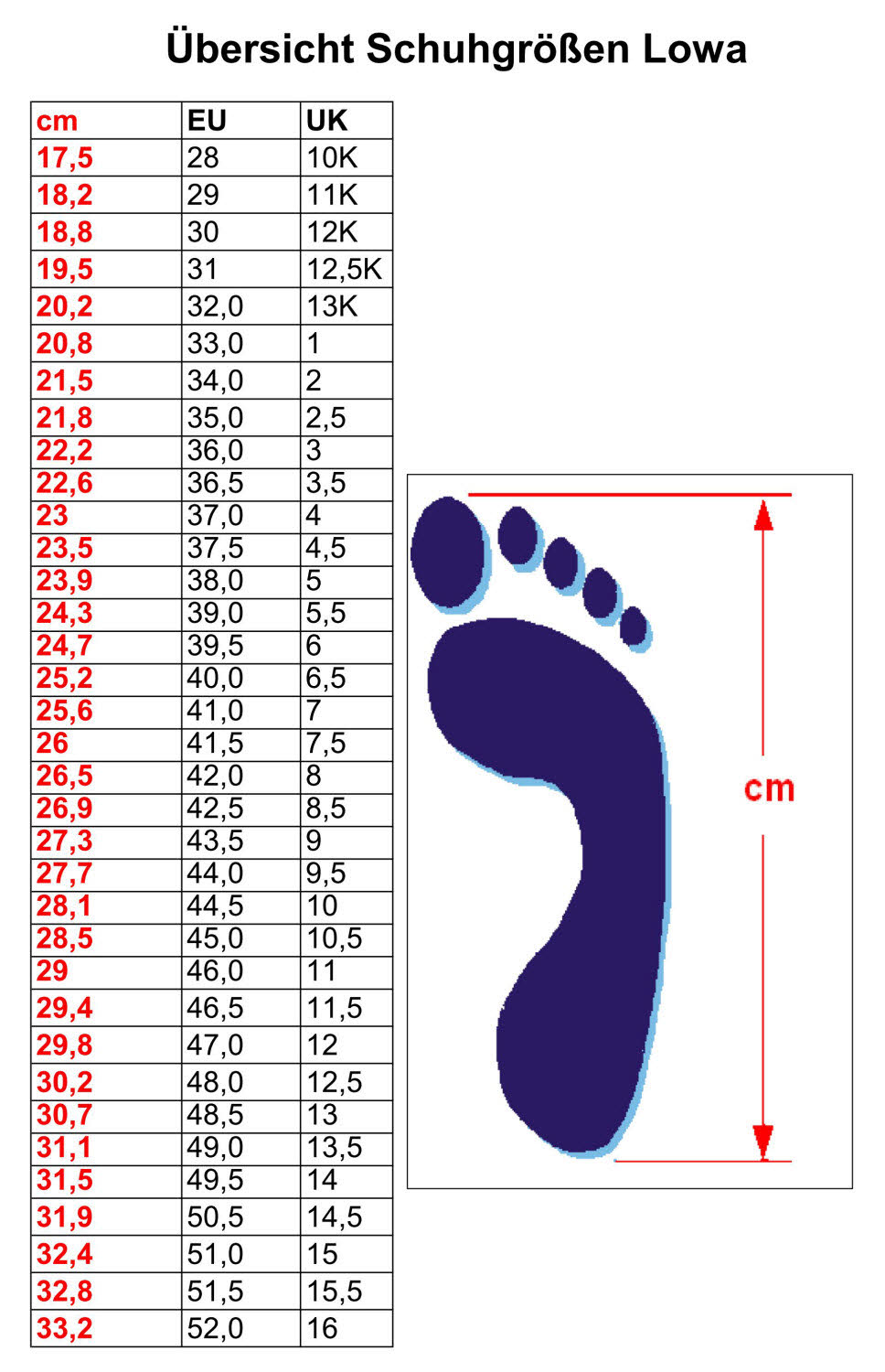 Lowa RENEGADE EVO GTX MID Ws