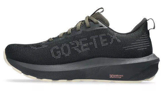 Asics GT-1000 14 GTX W