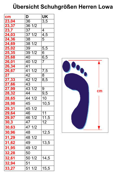 Lowa RENEGADE GTX MID