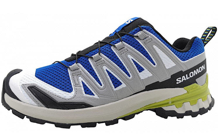 Salomon XA PRO 3D V9