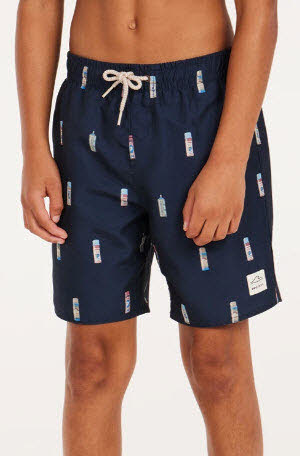 Protest PRTBITMAP JR beachshort