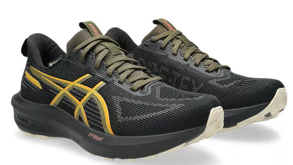 Asics GT-1000 14 GTX W