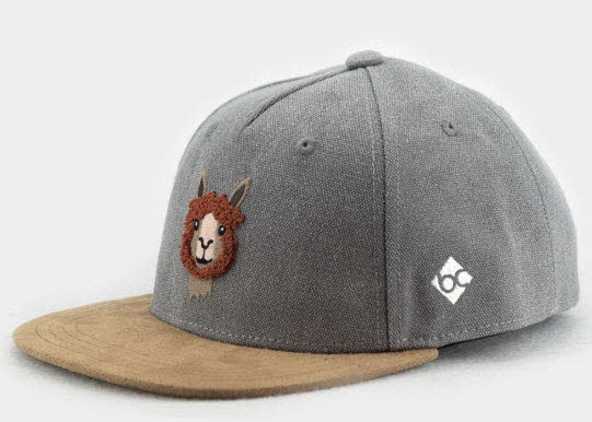 Bavarian Caps Alpaka Snapback