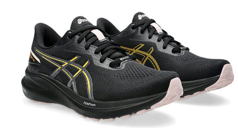Asics GT-1000 13 GTX W