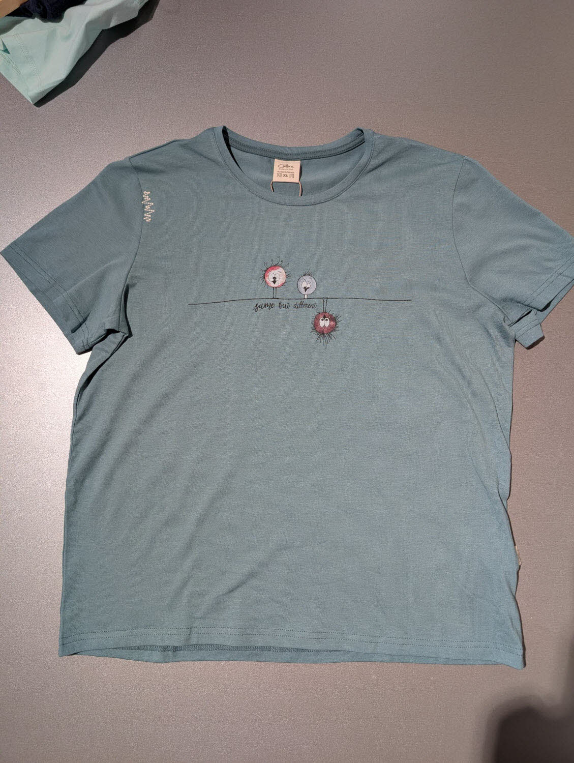 Chillaz Iseo Same But Diffrent