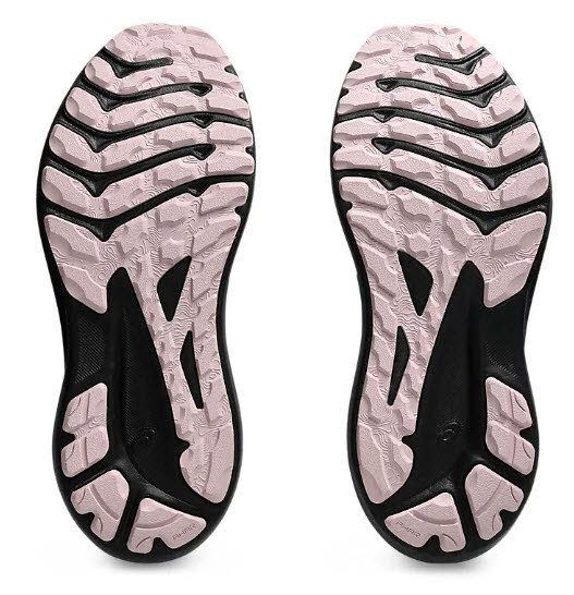 Asics GT-1000 13 GTX W