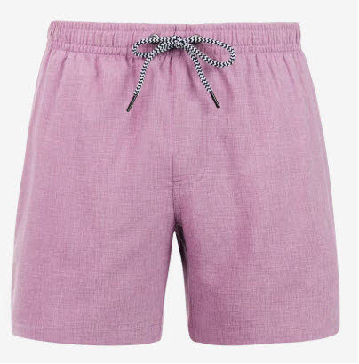 Protest DAVEY beachshort