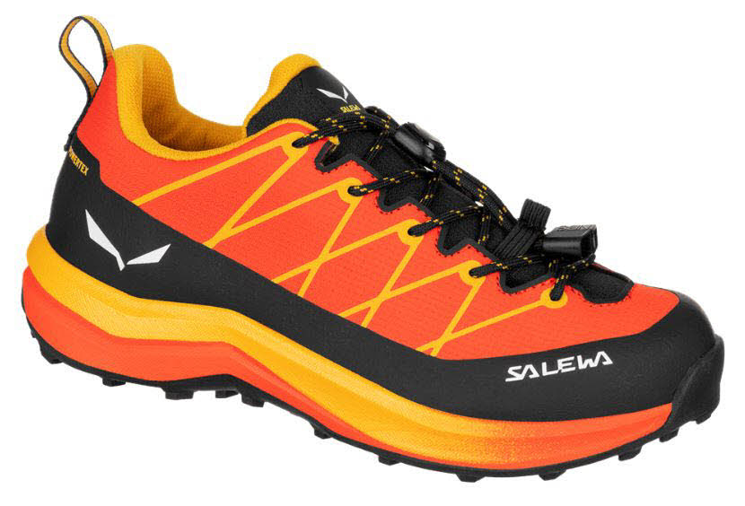 Salewa Wildfire 2 PTX K