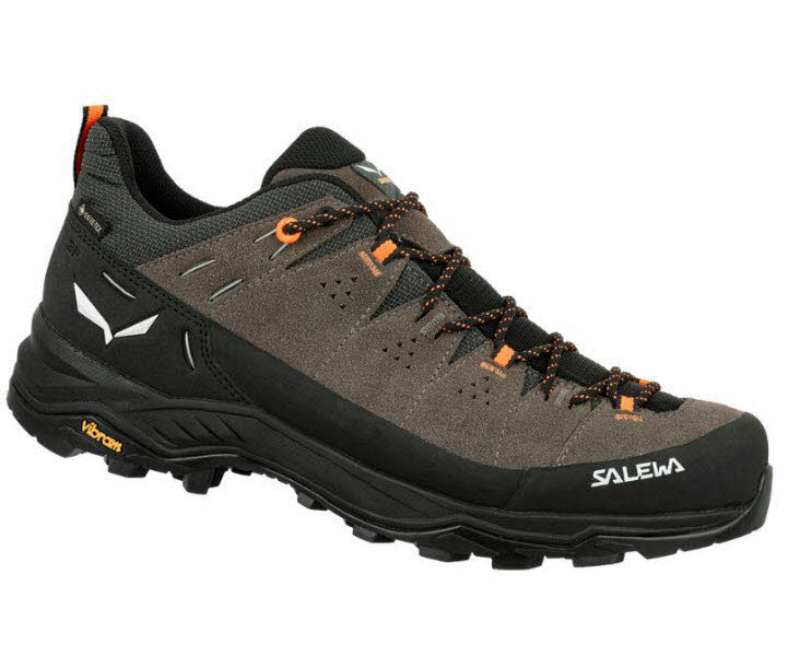 Salewa ALP TRAINER 2 GTX M