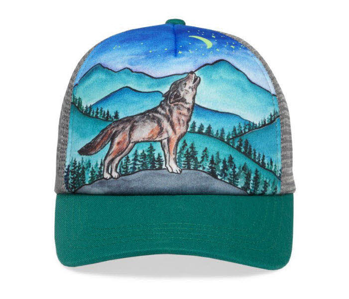 Sunday Afternoons Cap Artist Kids Series Trucker