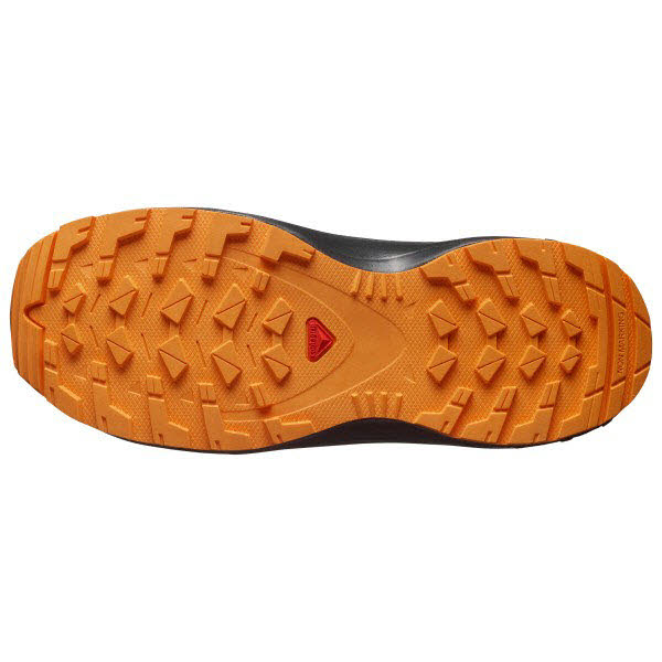 Salomon XA PRO V8 WP J