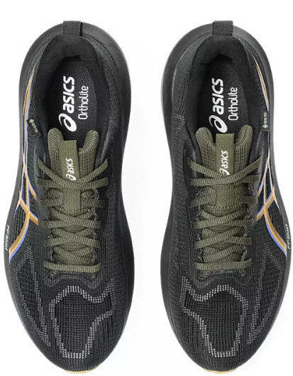 Asics GT-1000 14 GTX