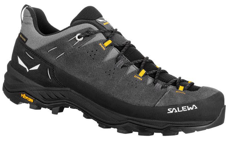 Salewa ALP TRAINER 2 GTX M