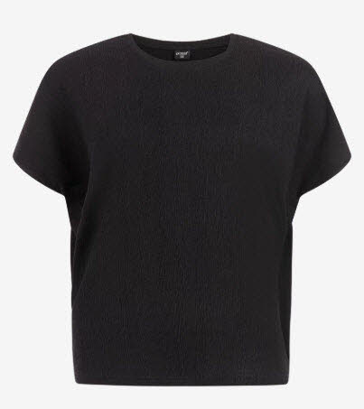 Protest PRTLouas t-shirt