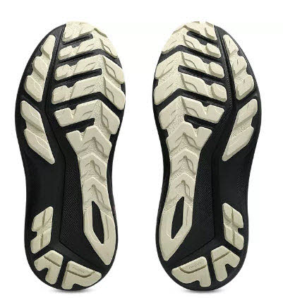 Asics GT-1000 14 GTX W