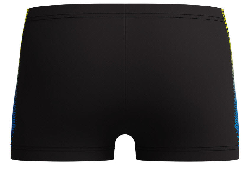 Speedo Boys Panel Aquashort