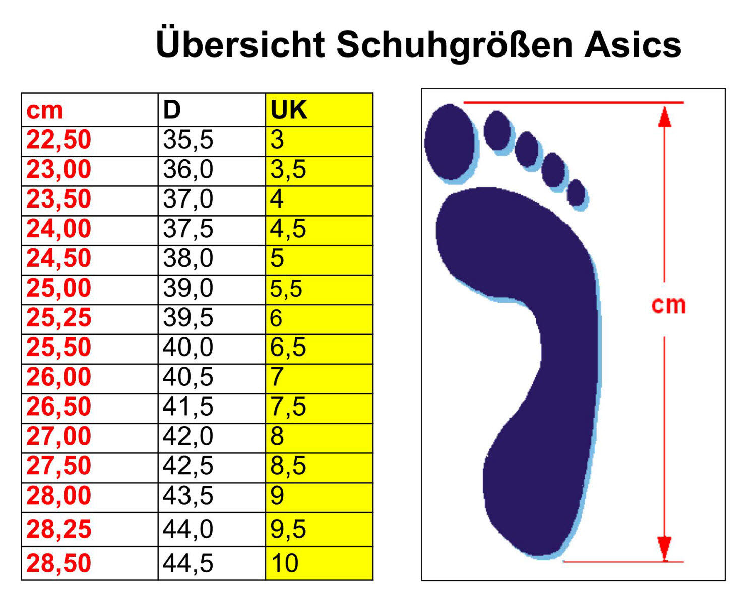 Adidas RAPIDMOVE TRAINER W