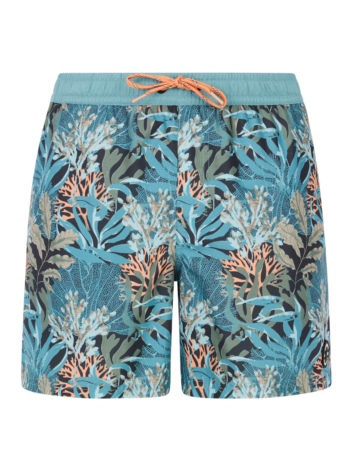 Protest PRTEton beachshort